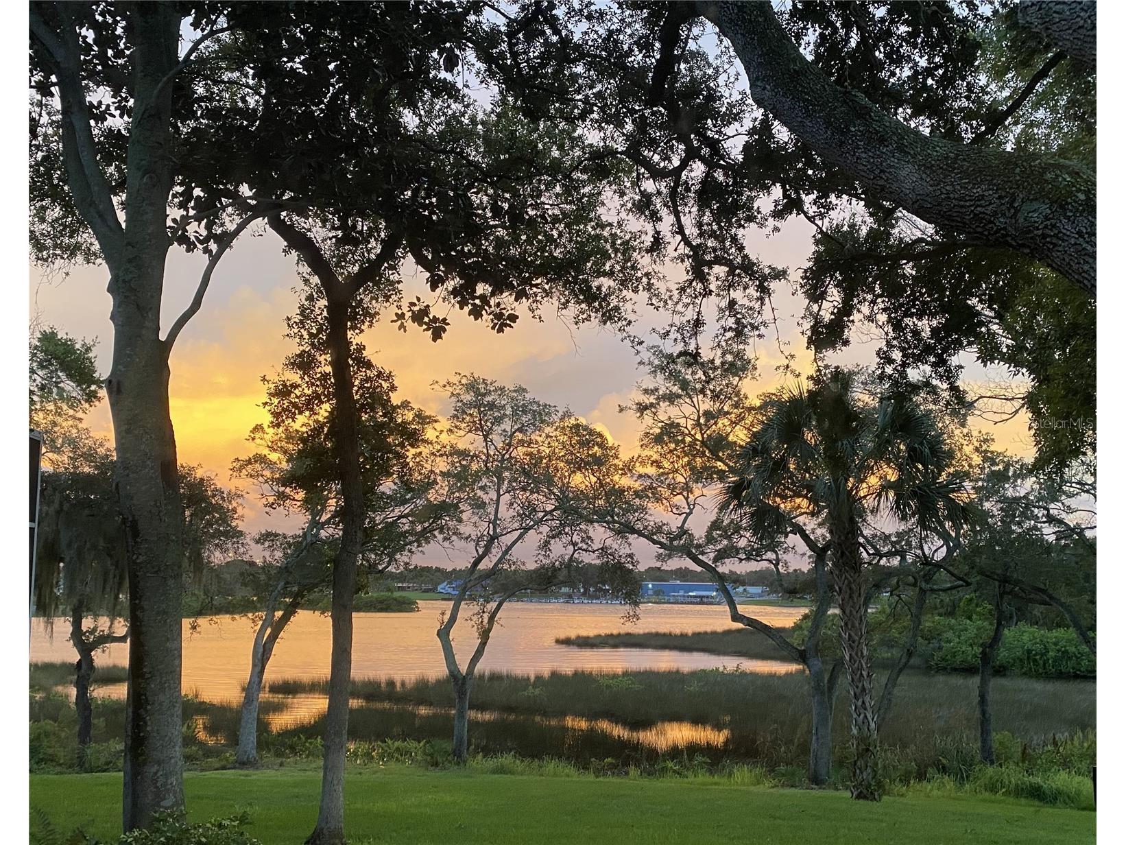 8910 Eagle Watch Drive Riverview FL 33578 - ALAFIA RIVER TB8471280 image35