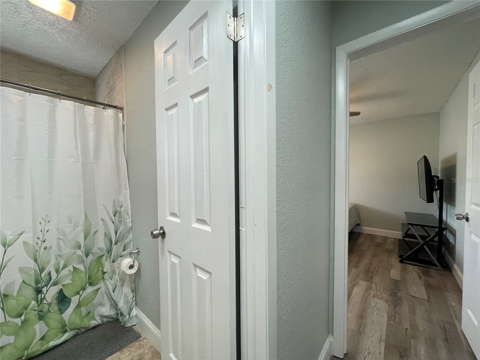 8910 Elm Leaf Court Port Richey FL 34668 O6410863 image19