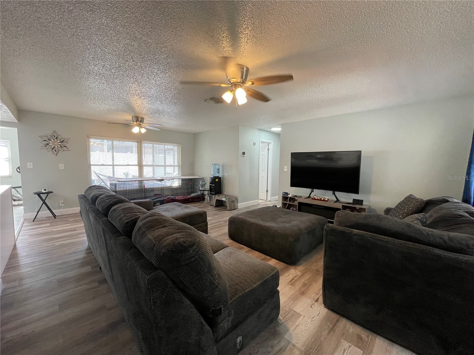 8910 Elm Leaf Court Port Richey FL 34668 O6410863 image7