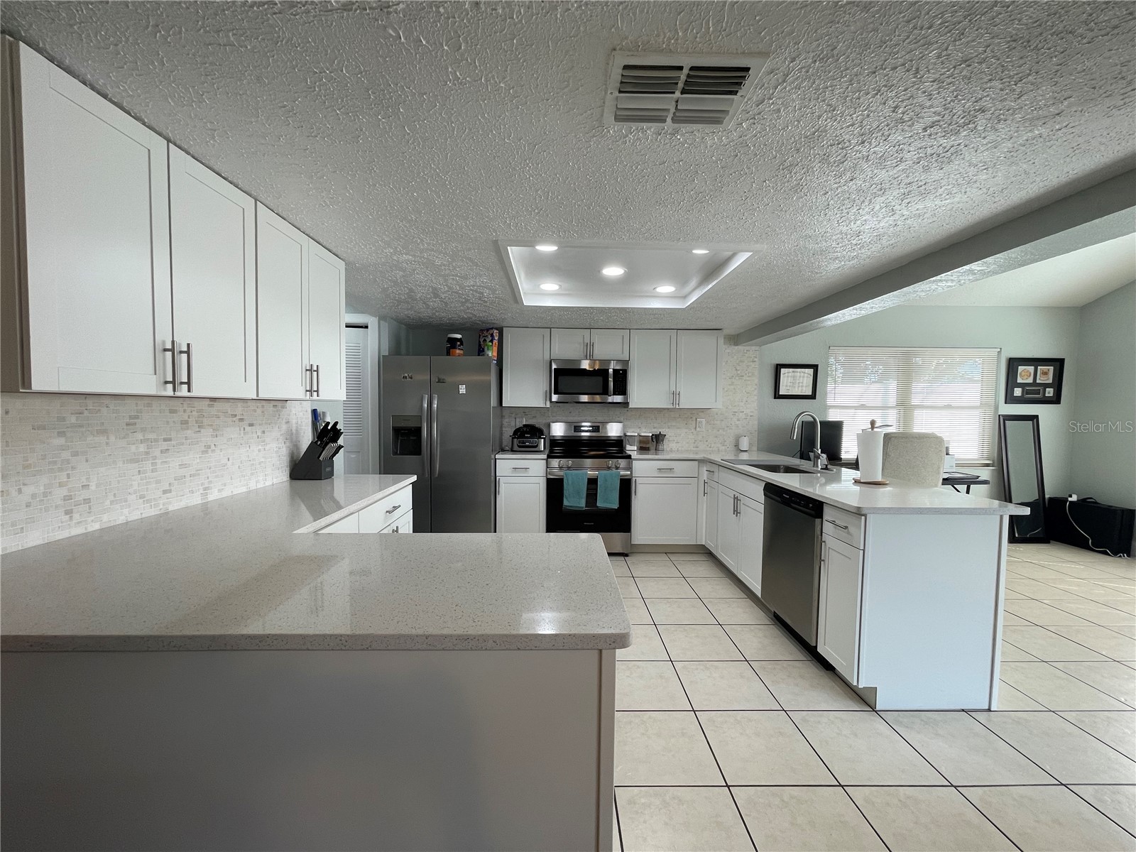 8910 Elm Leaf Court Port Richey FL 34668 O6410863 image9
