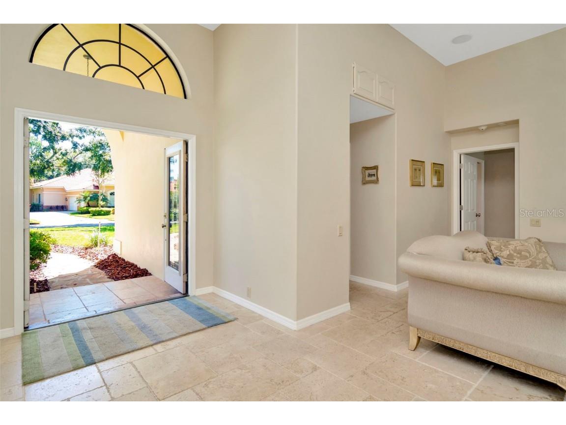 8910 Magnolia Chase Circle Tampa FL 33647 TB8409600 image24