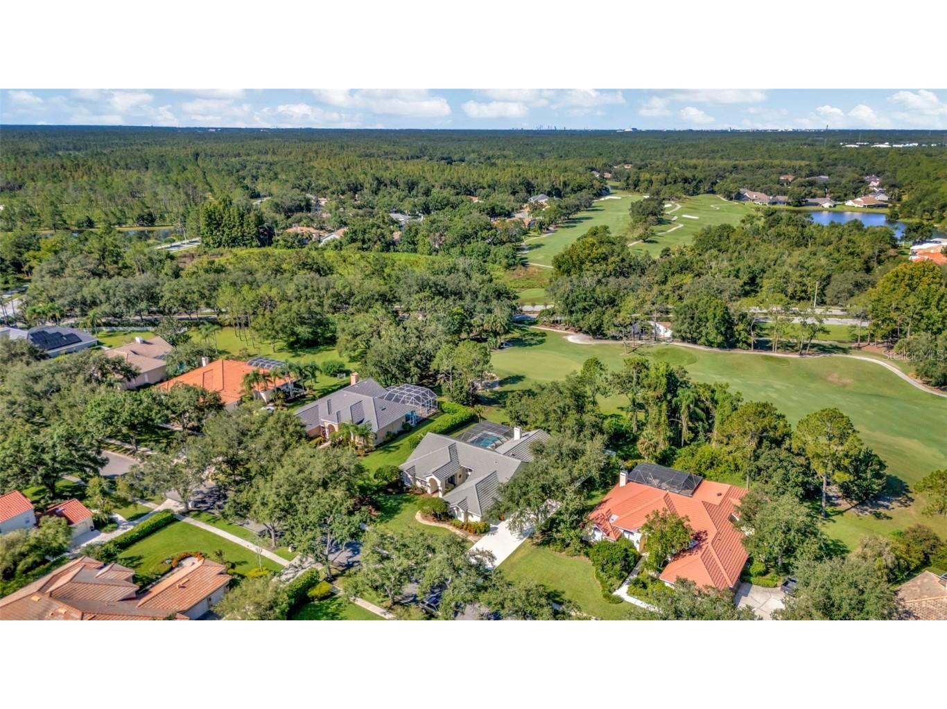 8910 Magnolia Chase Circle Tampa FL 33647 TB8409600 image5