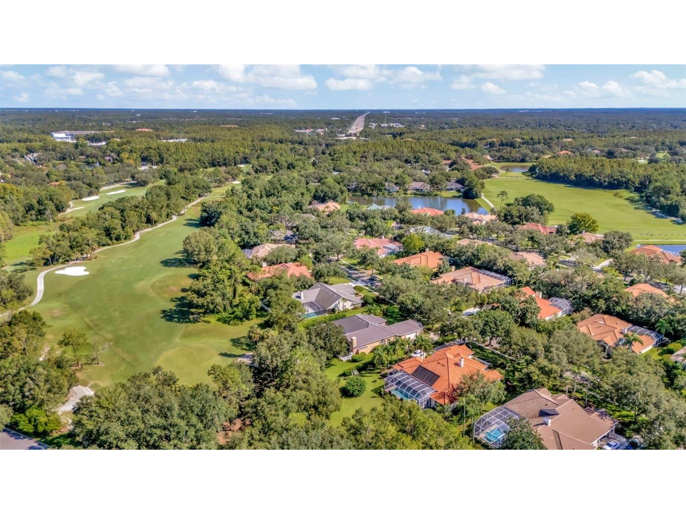 8910 Magnolia Chase Circle Tampa FL 33647 TB8409600 image6