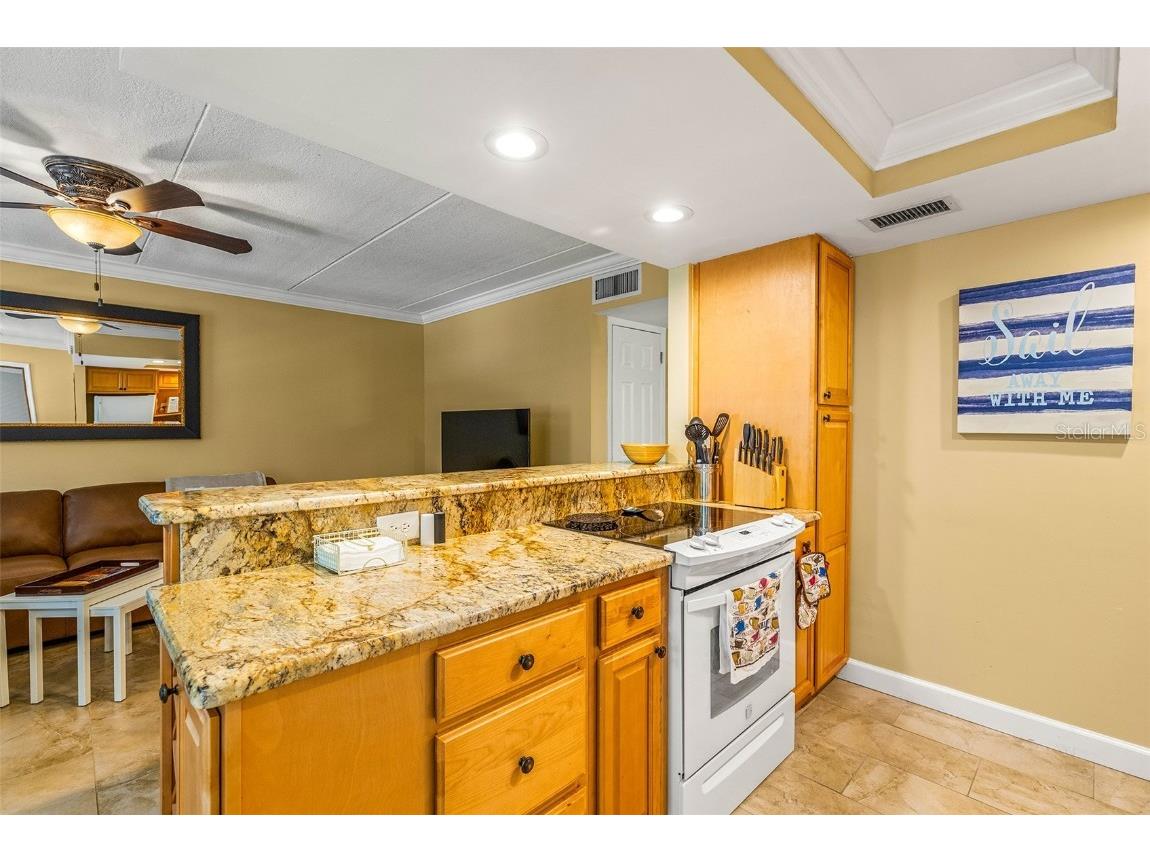 8911 Blind Pass Road #223 Saint Pete Beach FL 33706 - INTRACOASTAL WATERWAY TB8450658 image9