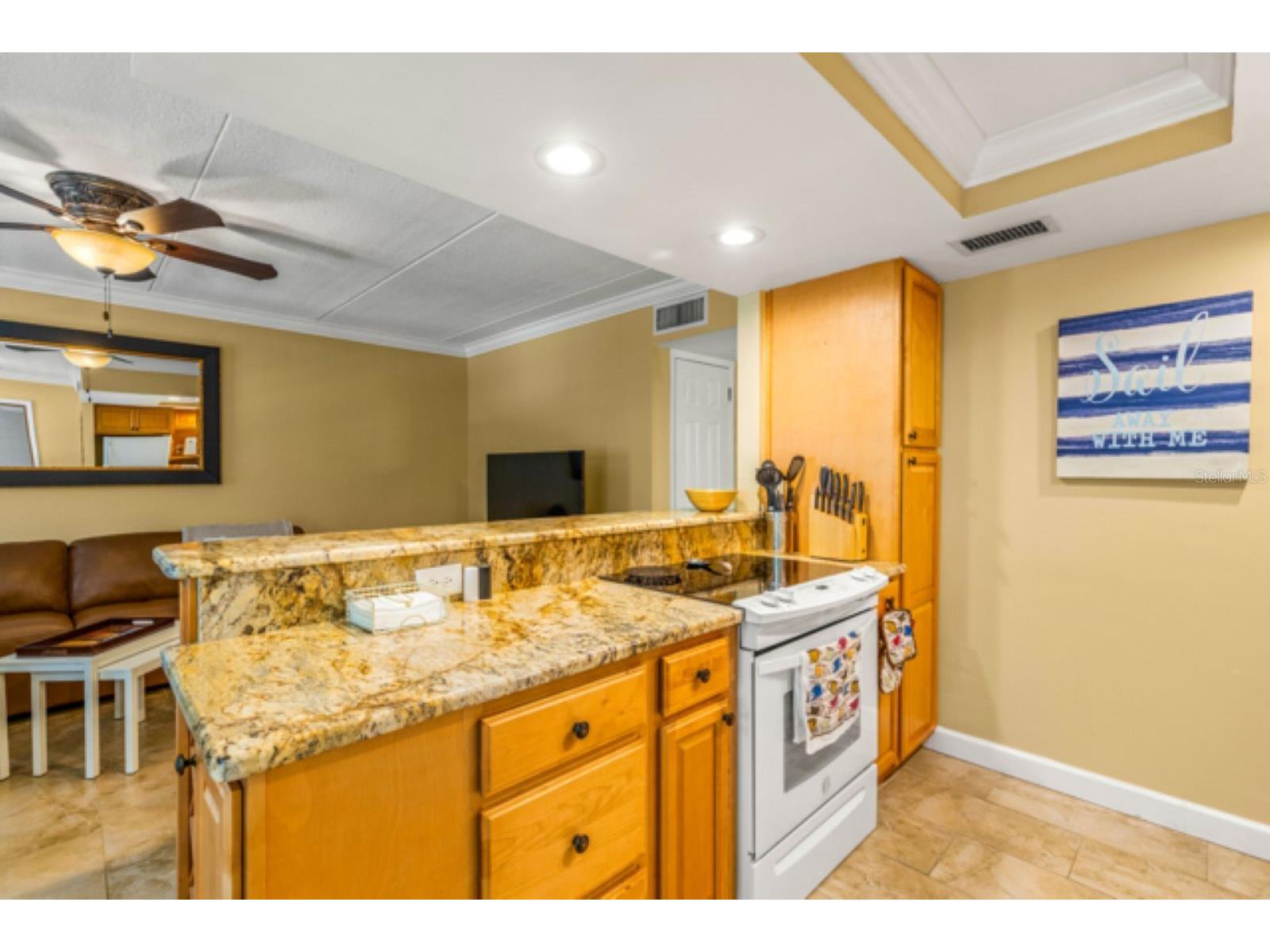 8911 Blind Pass Road #223 Saint Pete Beach FL 33706 - INTRACOASTAL WATERWAY TB8487680 image6