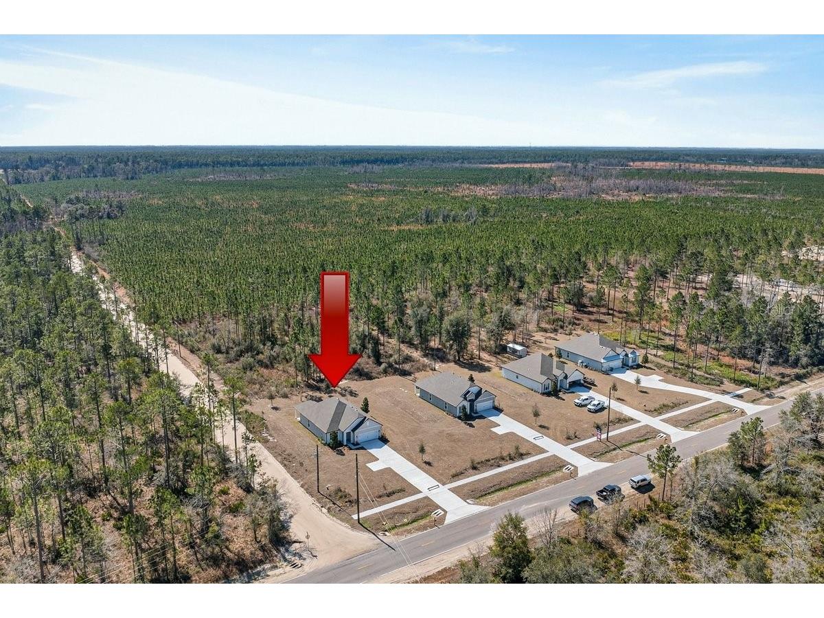 8911 Ford Road Bryceville FL 32009 V4947686 image44