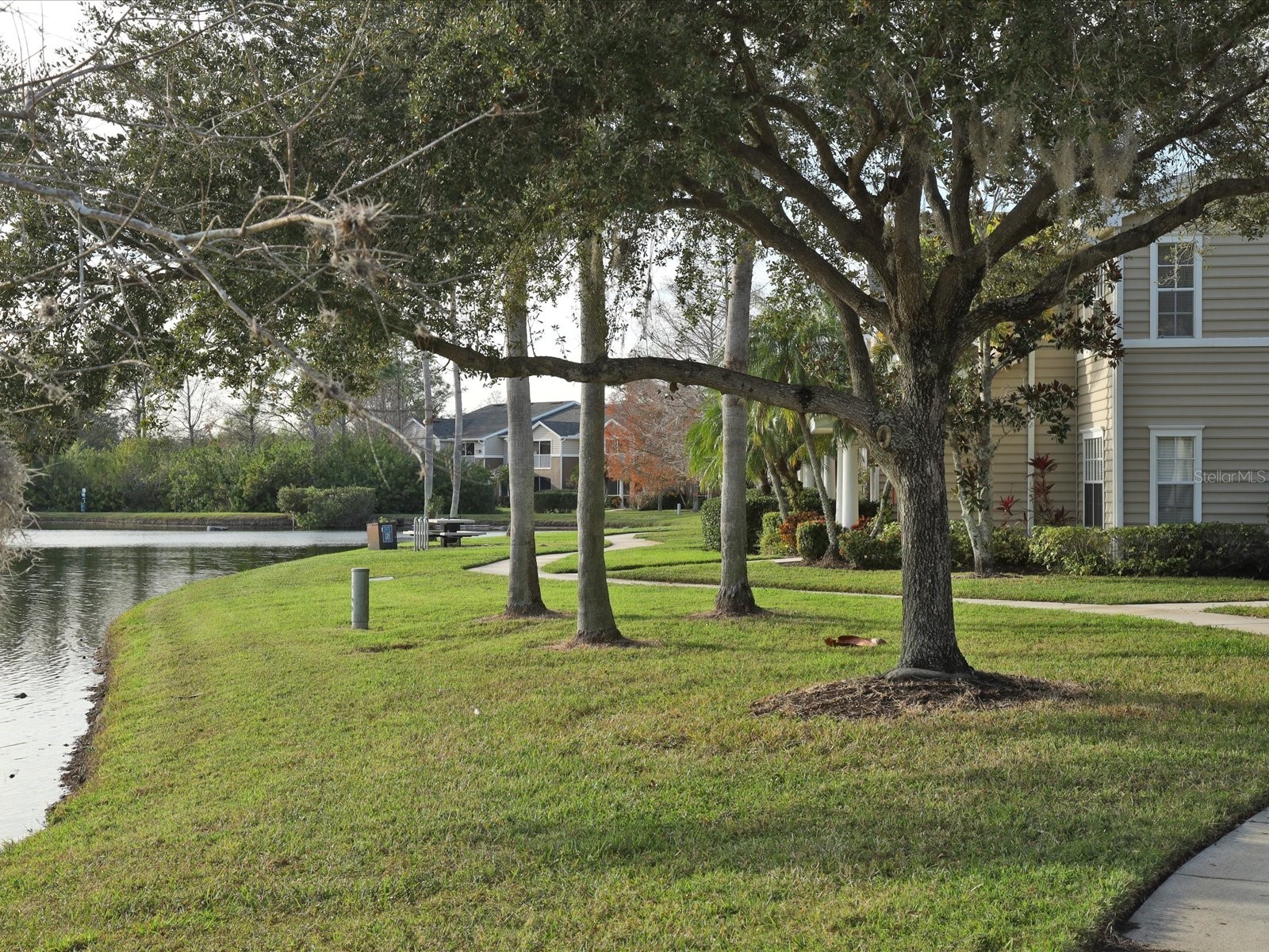 8911 Manor Loop #205 Lakewood Ranch FL 34202 A4671799 image38