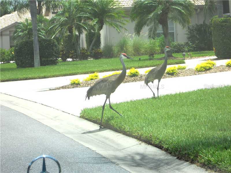 8911 Veranda Way #222 Sarasota FL 34238 A3984795 image23