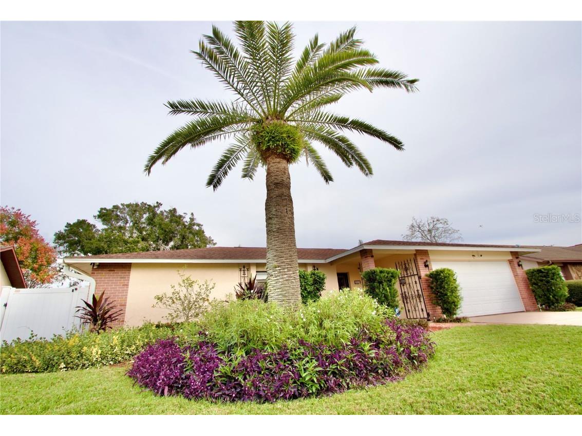 8912 Andros Lane Port Richey FL 34668 W7880549 image3