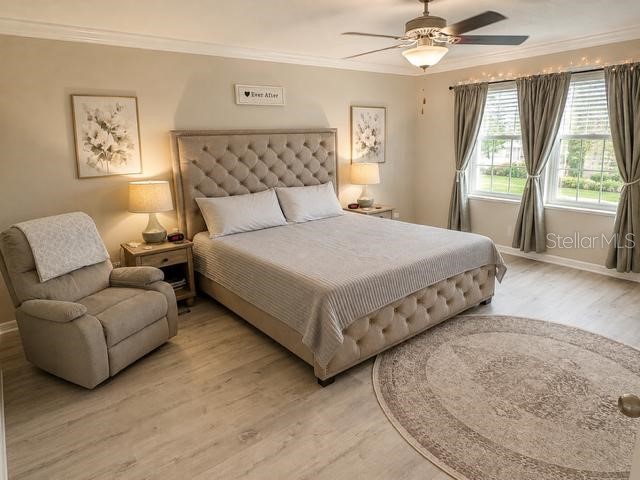 8913 Flourish Drive Land O Lakes FL 34637 TB8525843 image11