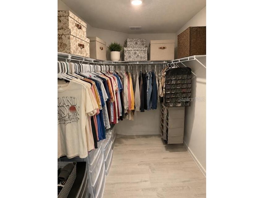 8913 Flourish Drive Land O Lakes FL 34637 TB8525843 image14
