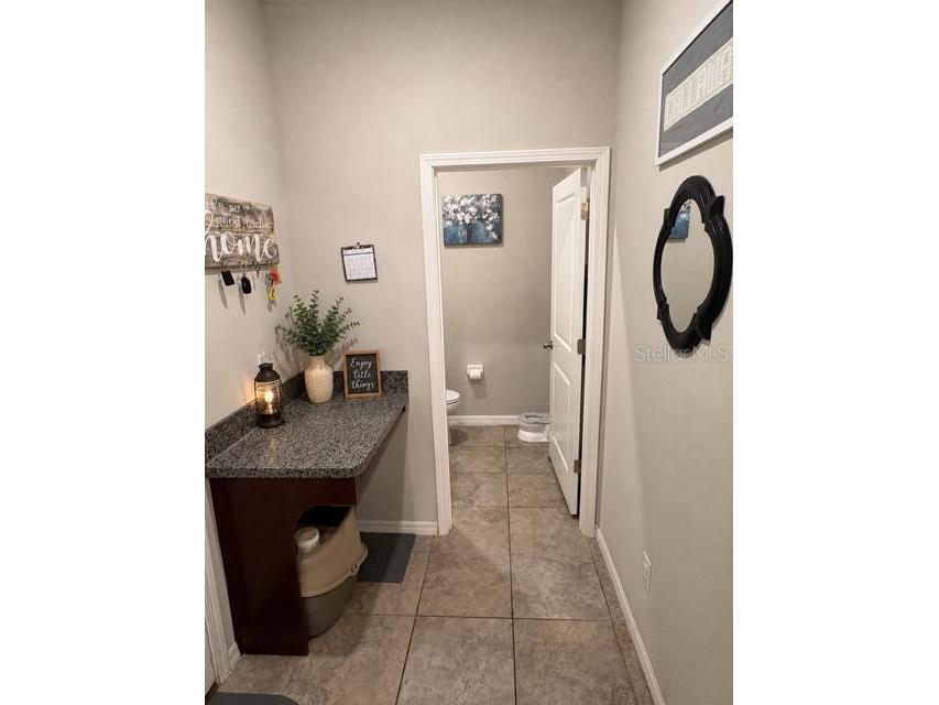 8913 Flourish Drive Land O Lakes FL 34637 TB8525843 image18