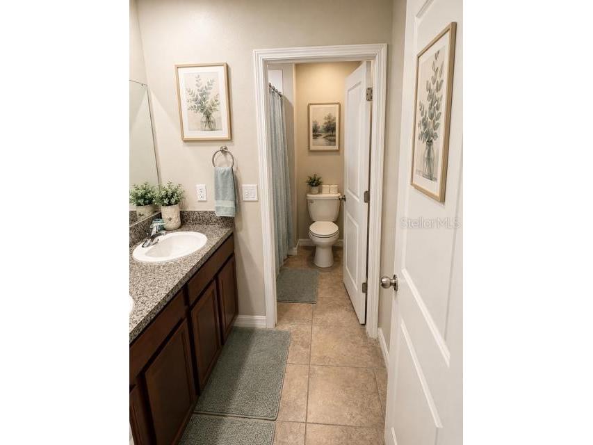 8913 Flourish Drive Land O Lakes FL 34637 TB8525843 image19