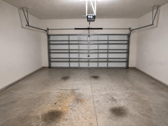 8913 Flourish Drive Land O Lakes FL 34637 TB8525843 image24
