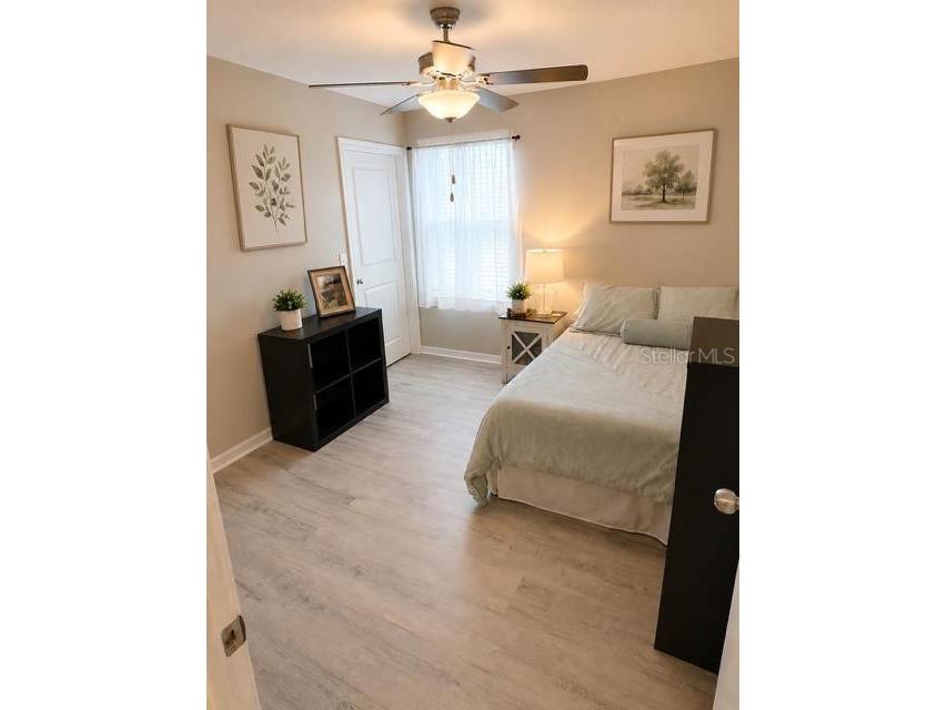 8913 Flourish Drive Land O Lakes FL 34637 TB8525843 image7