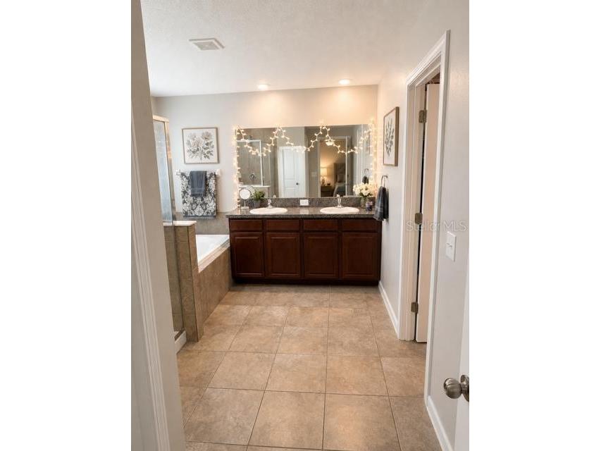 8913 Flourish Drive Land O Lakes FL 34637 TB8525843 image9