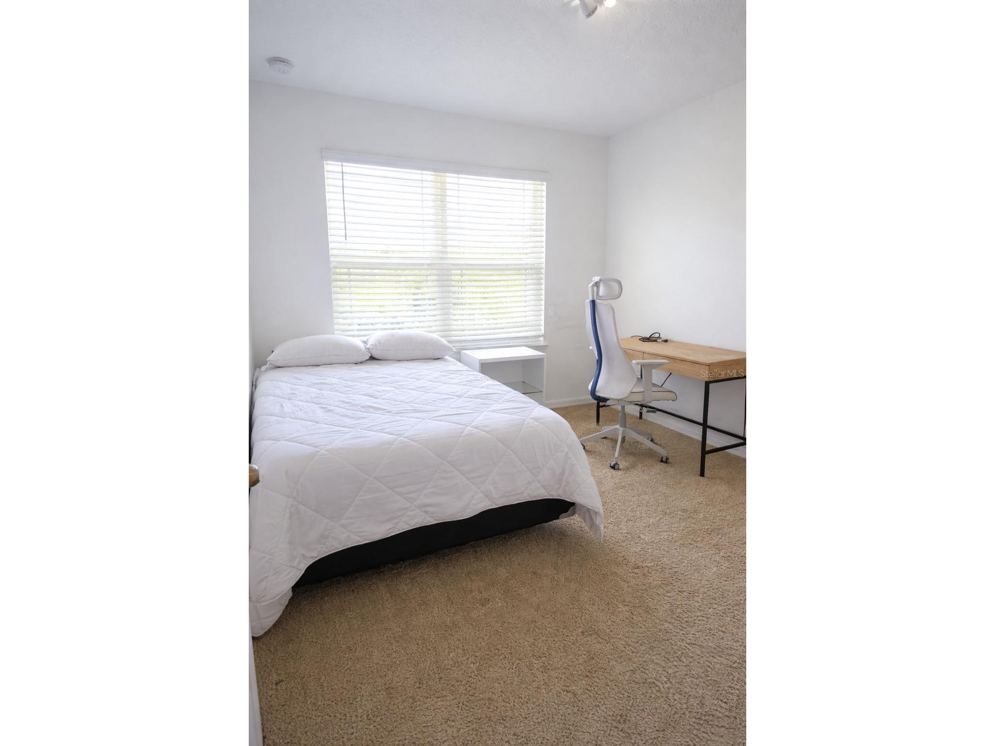 8913 Matriarca Aly Windermere FL 34786 S5145953 image12