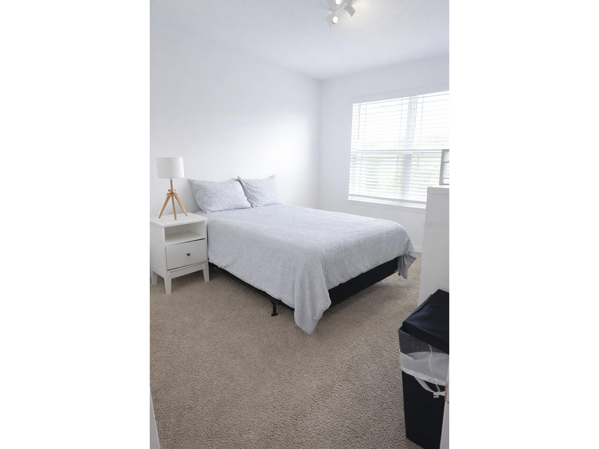 8913 Matriarca Aly Windermere FL 34786 S5145953 image13