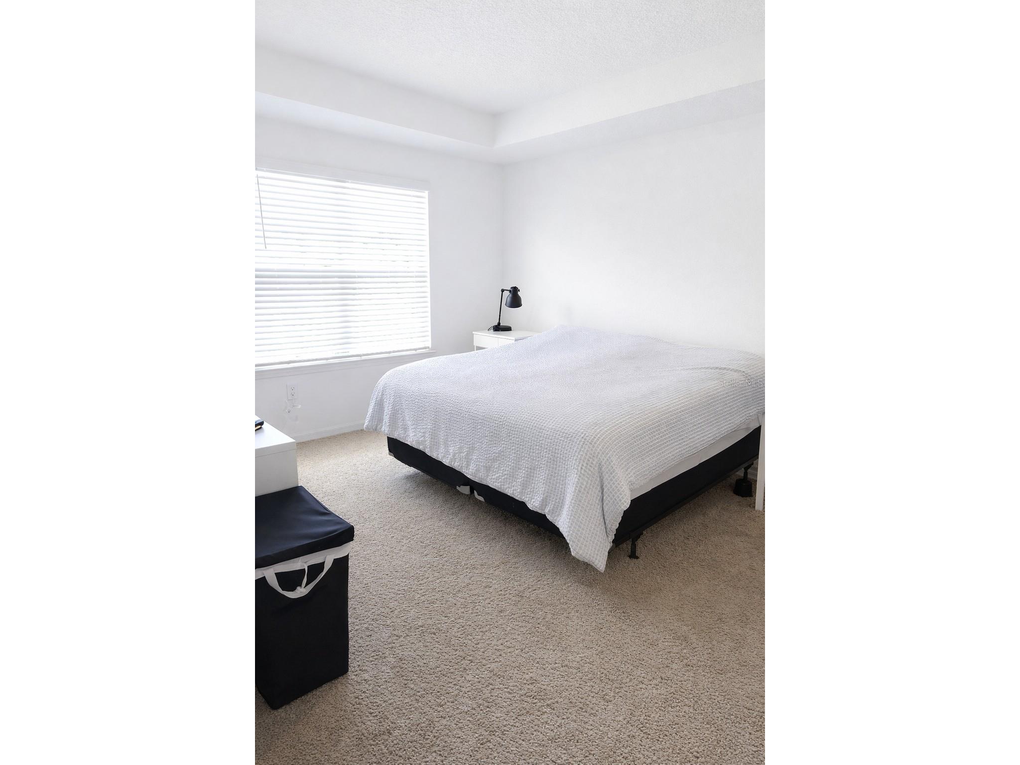 8913 Matriarca Aly Windermere FL 34786 S5145953 image19