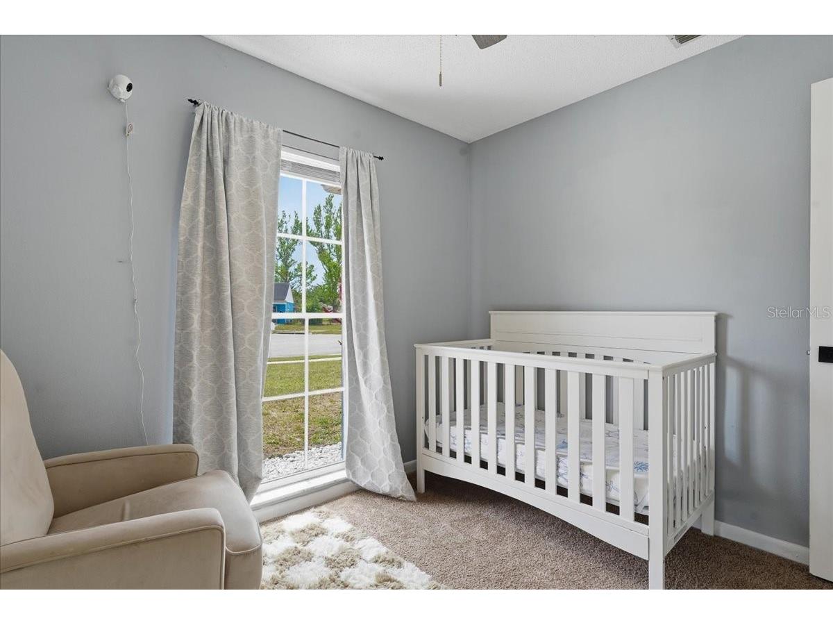 8913 Wood Lake Court New Port Richey FL 34653 TB8501191 image22