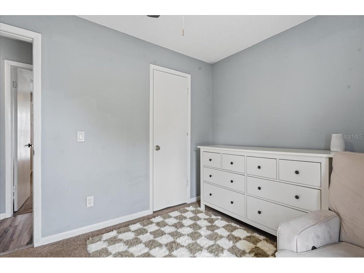 8913 Wood Lake Court New Port Richey FL 34653 TB8501191 image23