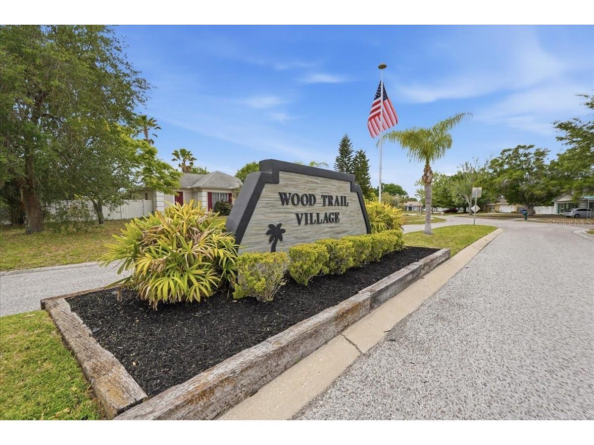 8913 Wood Lake Court New Port Richey FL 34653 TB8501191 image37