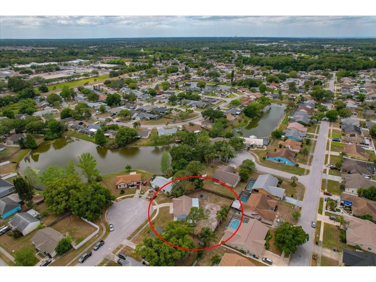 8913 Wood Lake Court New Port Richey FL 34653 TB8501191 image39