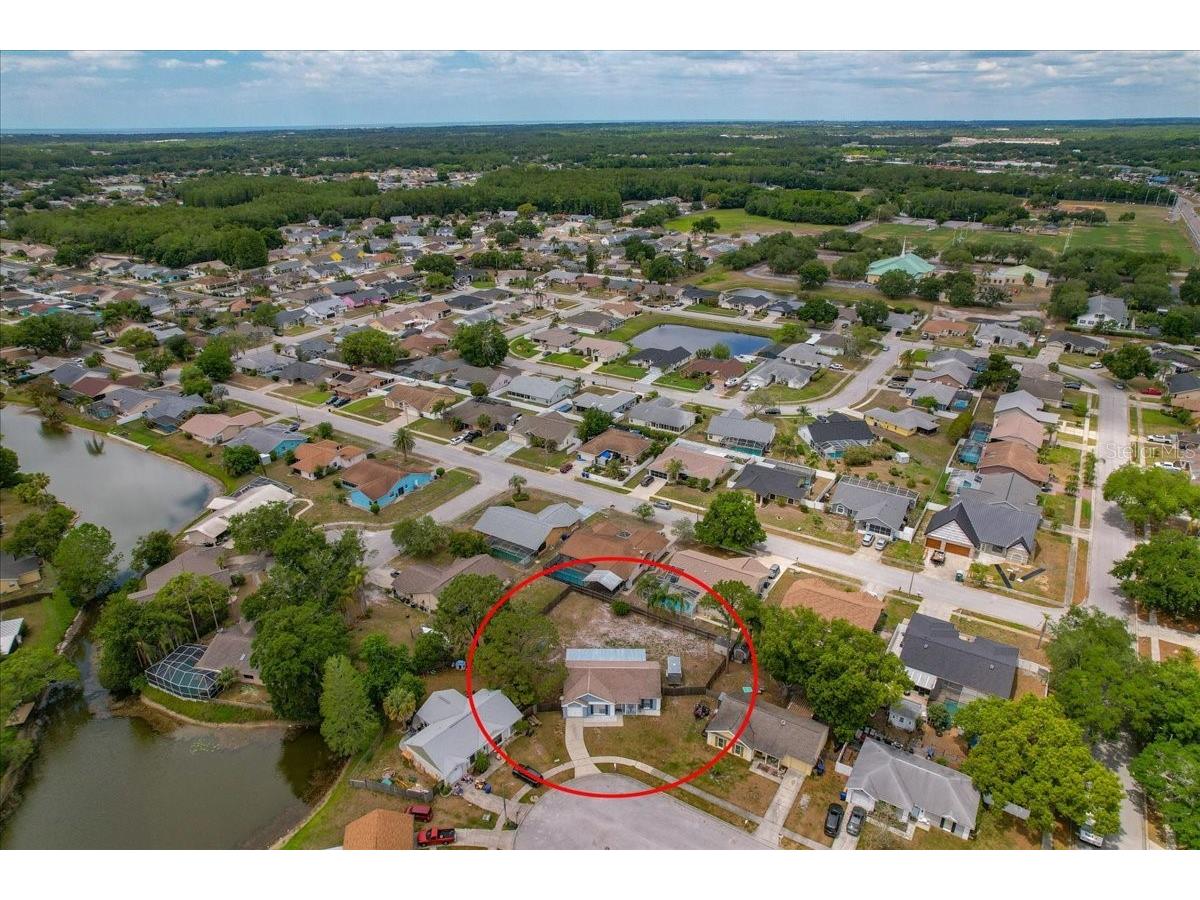 8913 Wood Lake Court New Port Richey FL 34653 TB8501191 image40