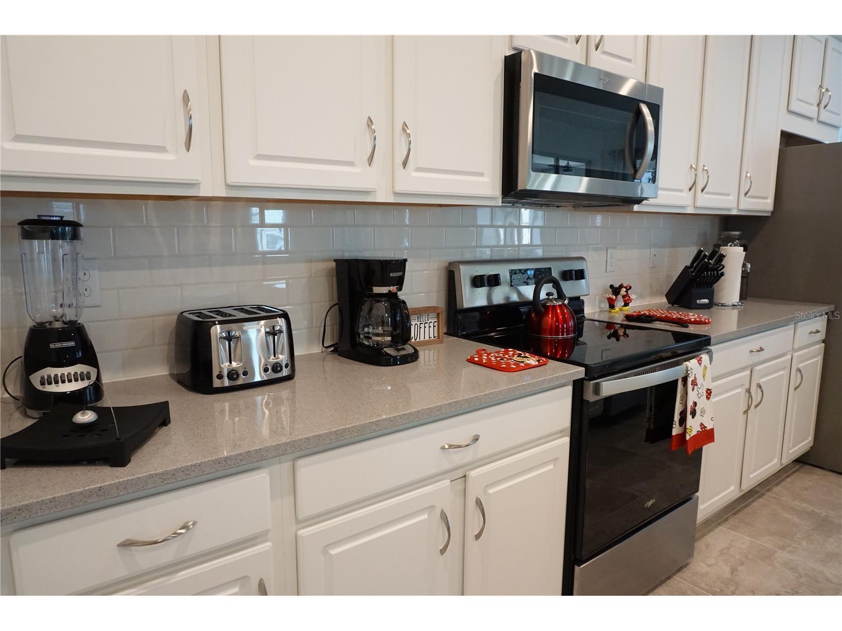 8914 Caroline Bay Court Kissimmee FL 34747 O6410893 image7