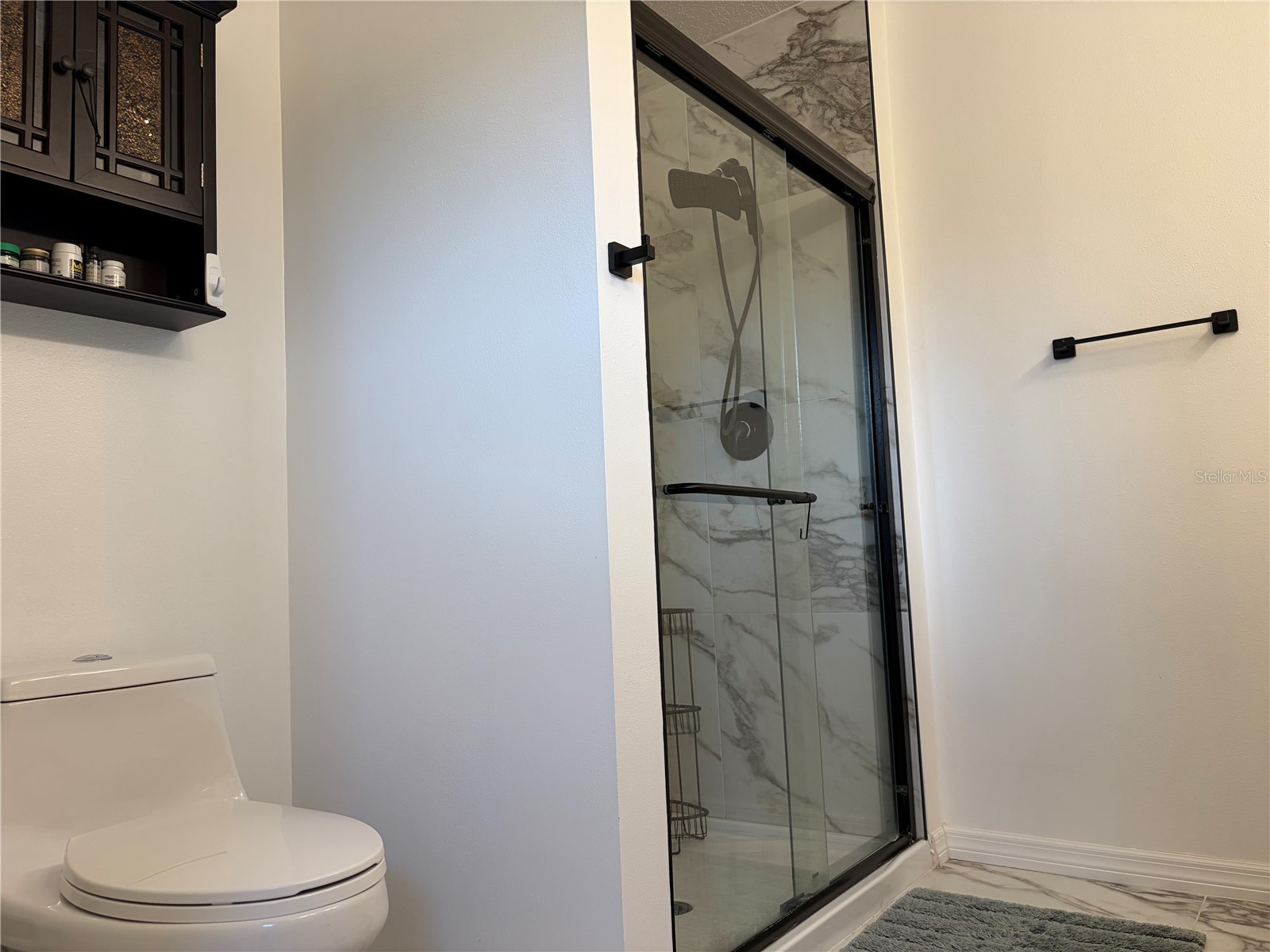 8914 Iron Oak Tampa FL 33647 W7884218 image15
