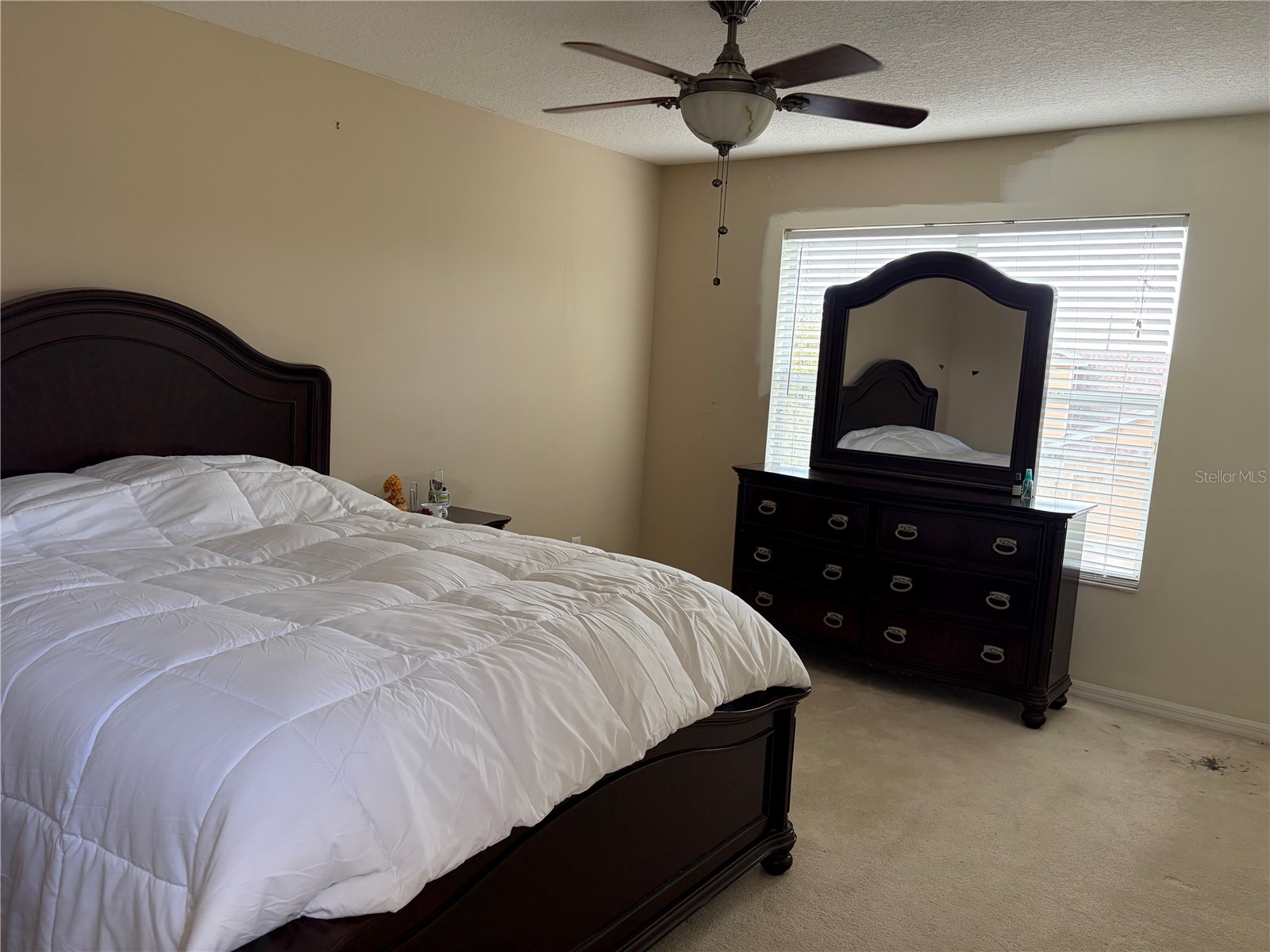 8914 Iron Oak Tampa FL 33647 W7884218 image18