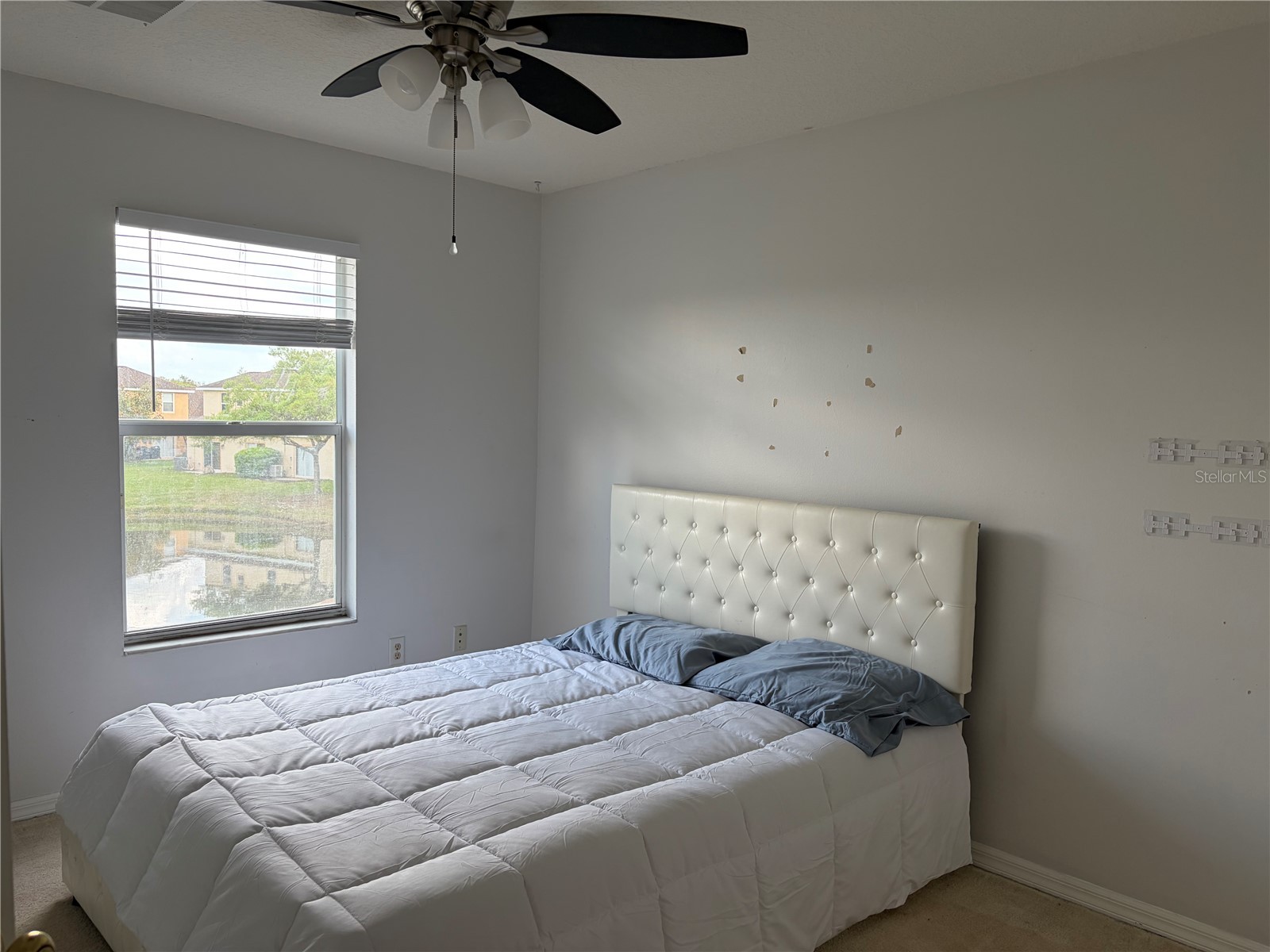 8914 Iron Oak Tampa FL 33647 W7884218 image22
