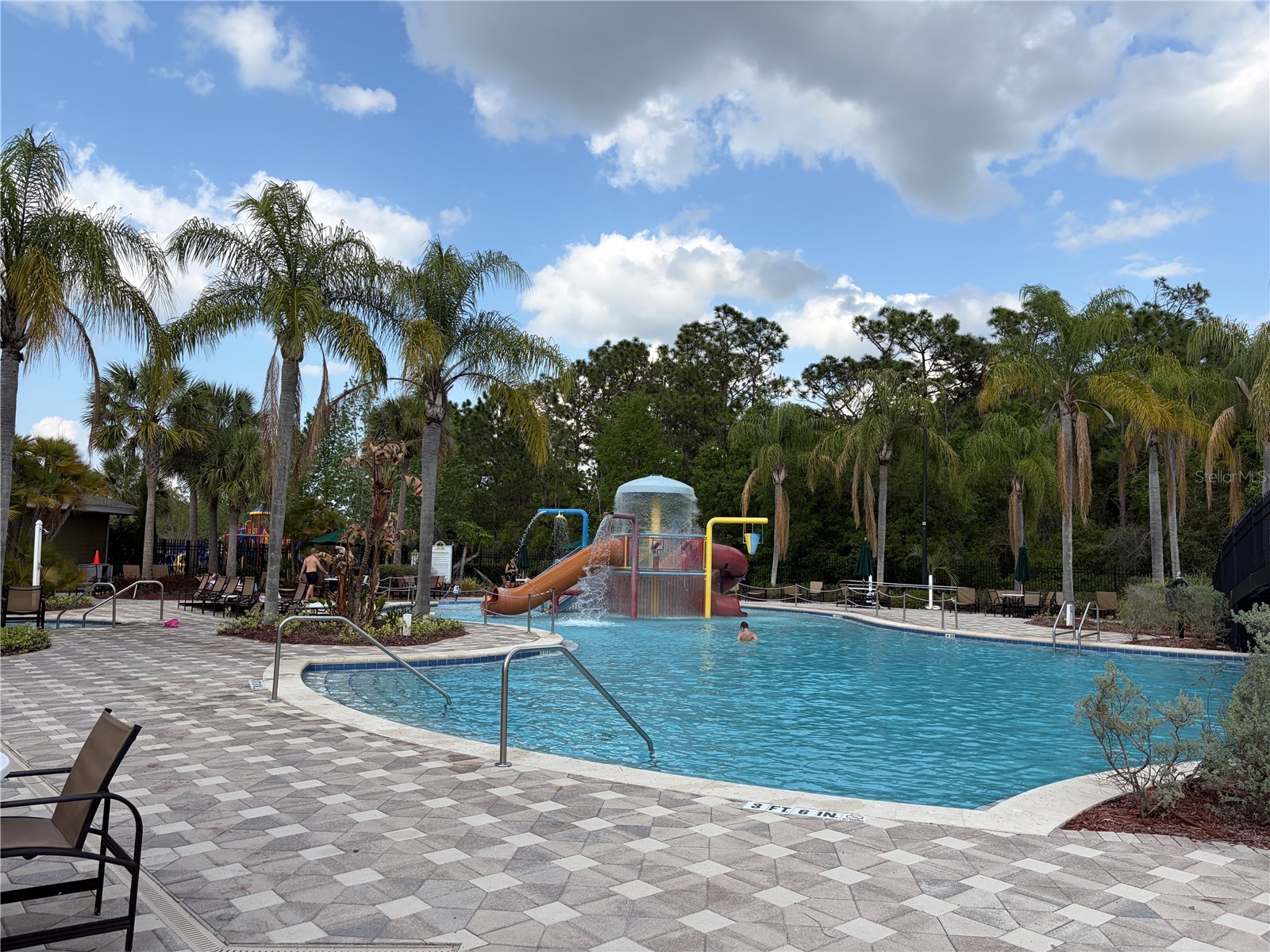 8914 Iron Oak Tampa FL 33647 W7884218 image29