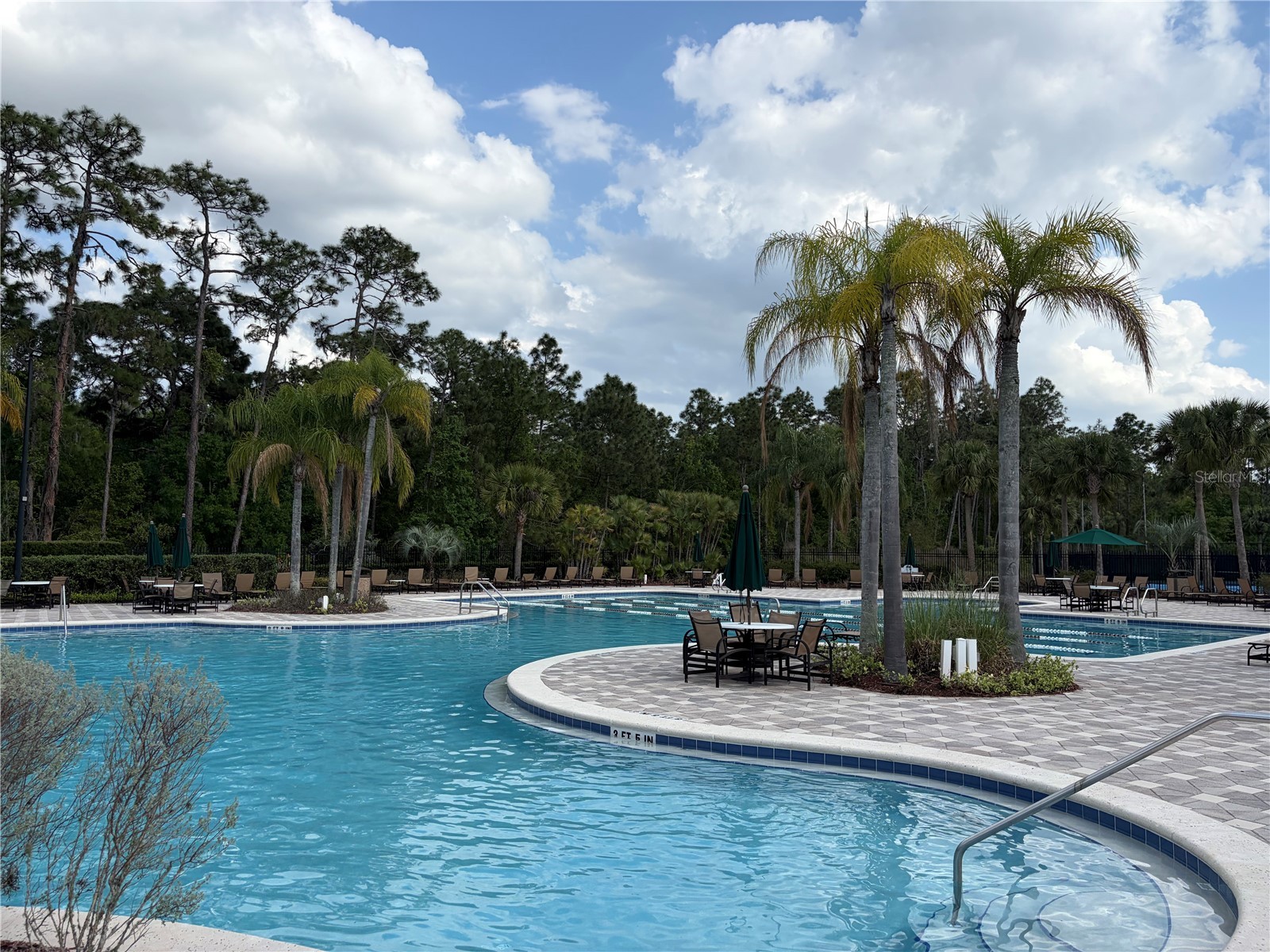 8914 Iron Oak Tampa FL 33647 W7884218 image30