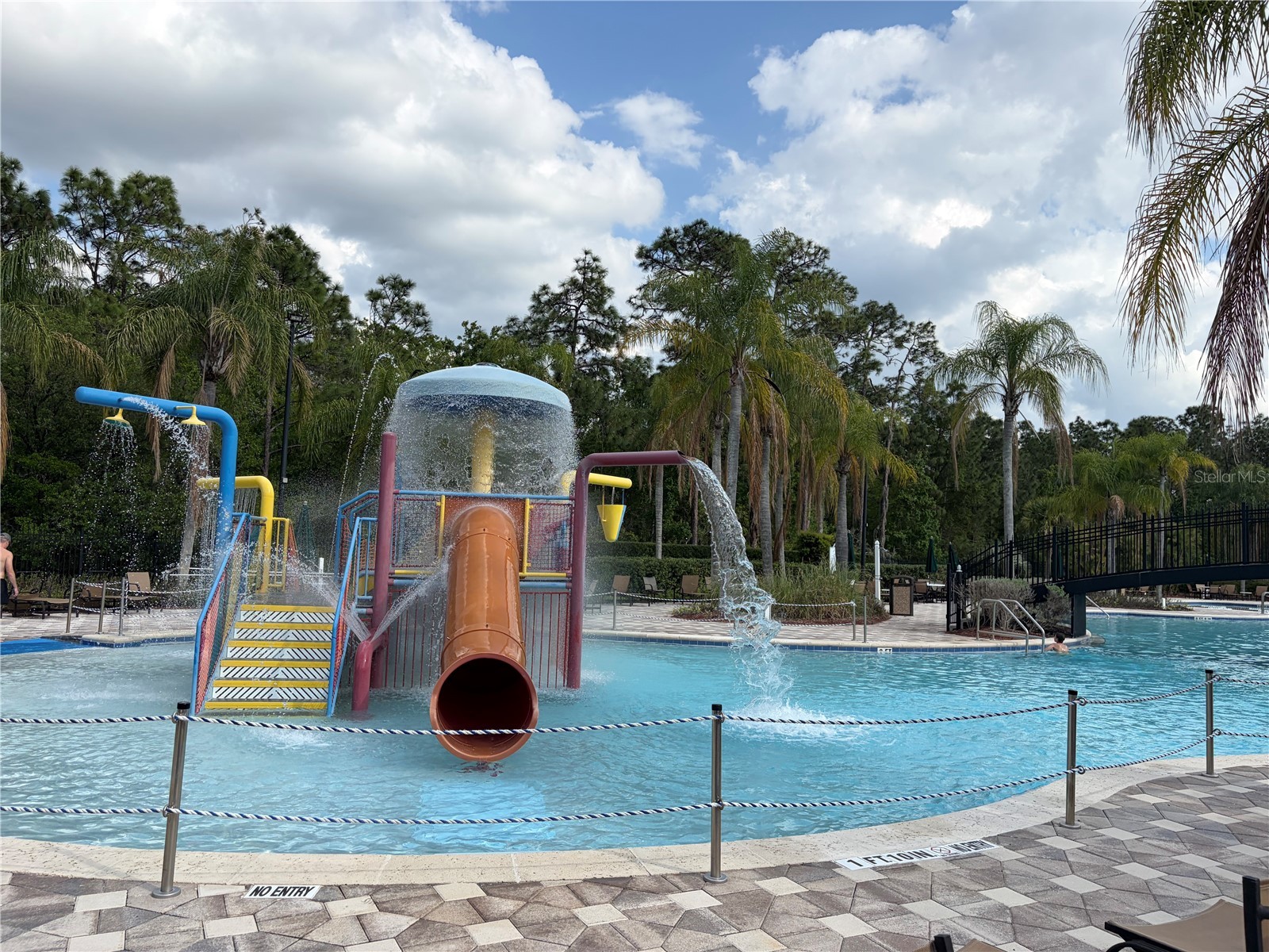 8914 Iron Oak Tampa FL 33647 W7884218 image32