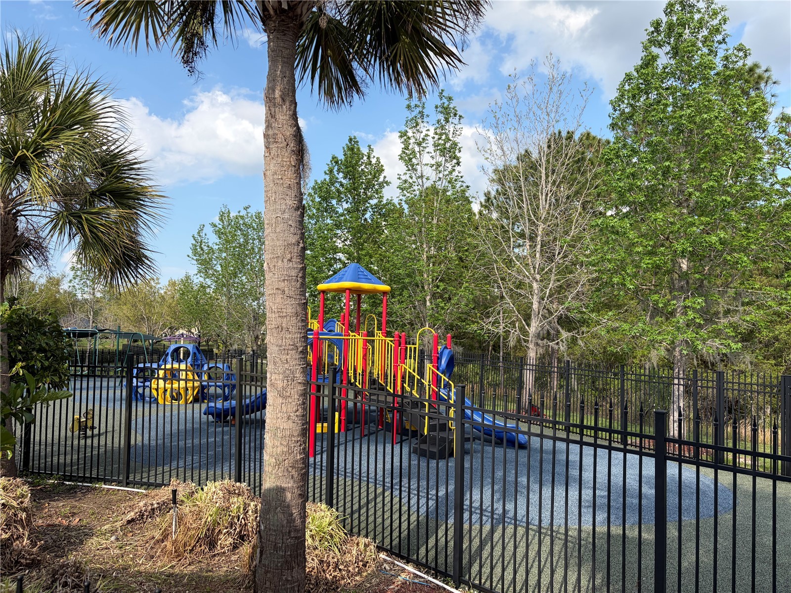 8914 Iron Oak Tampa FL 33647 W7884218 image33
