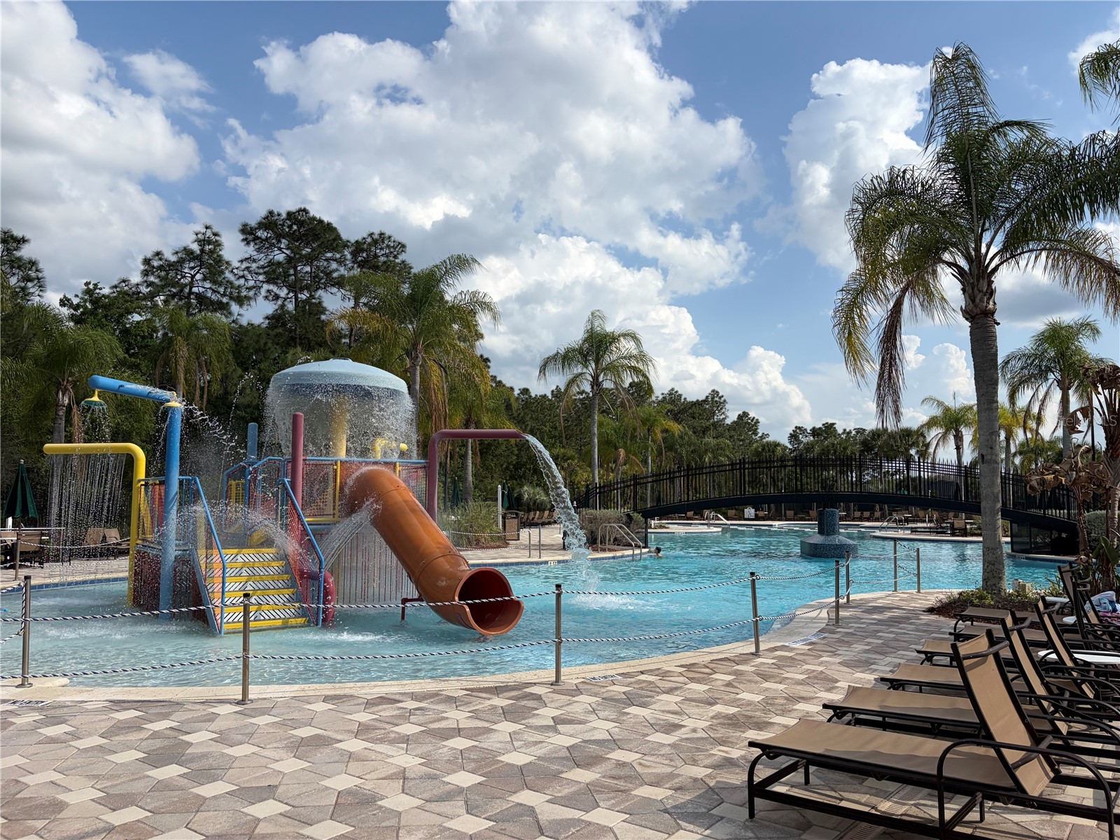 8914 Iron Oak Tampa FL 33647 W7884218 image34