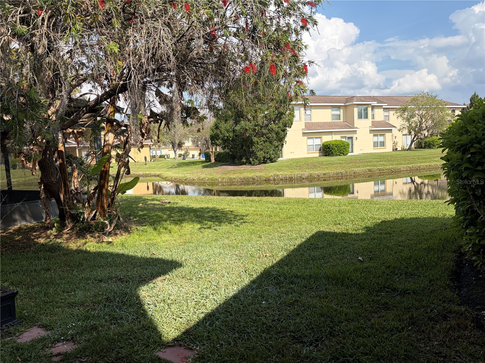 8914 Iron Oak Tampa FL 33647 W7884218 image4