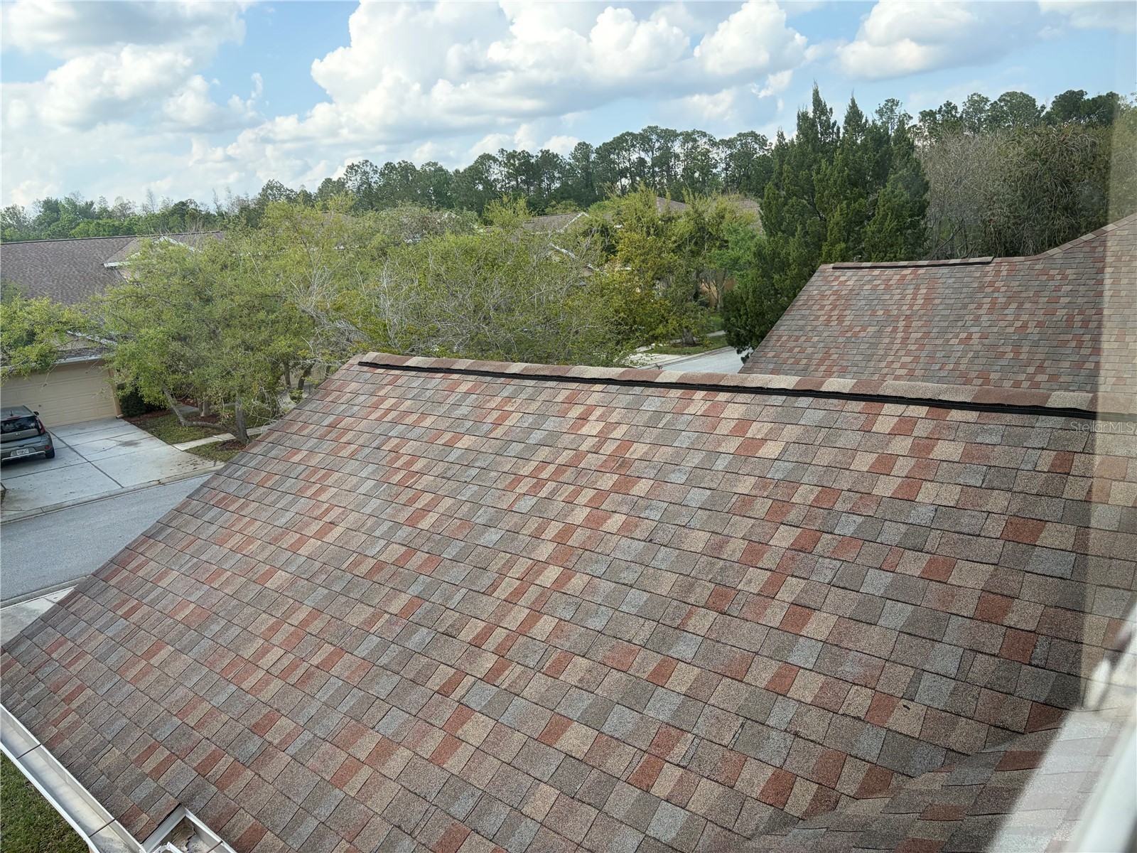 8914 Iron Oak Tampa FL 33647 W7884218 image40