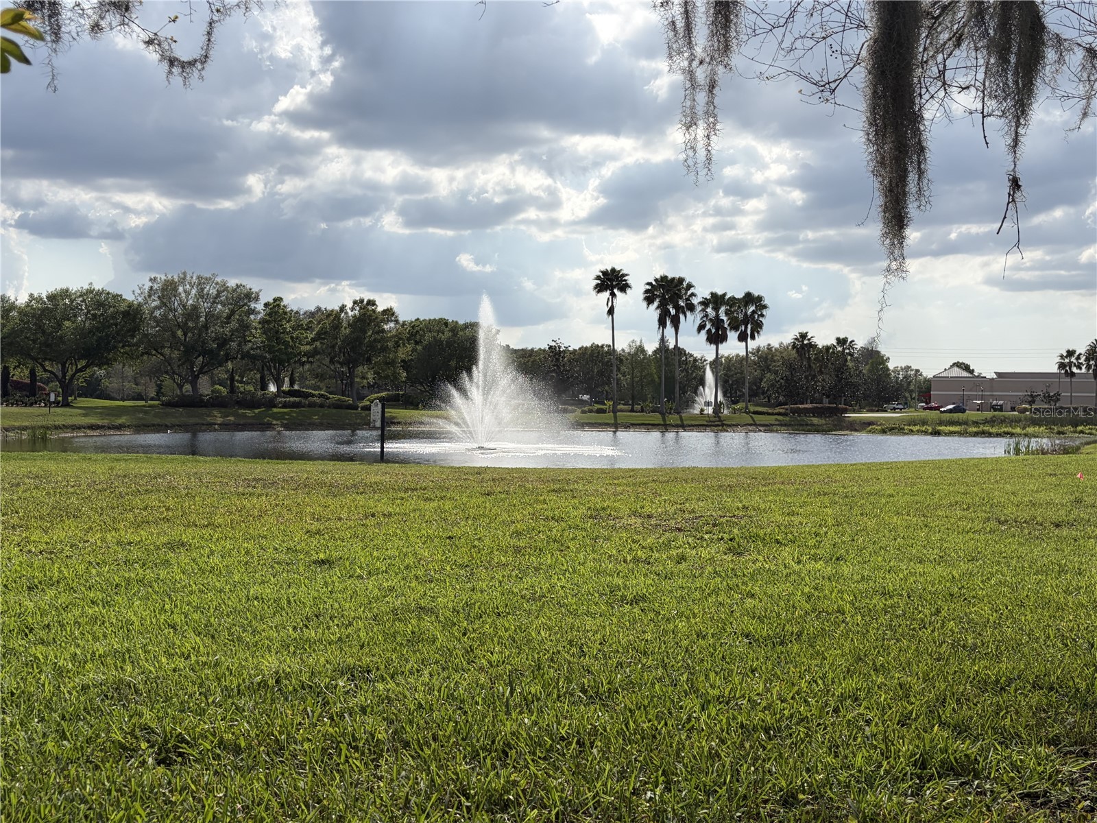 8914 Iron Oak Tampa FL 33647 W7884218 image43
