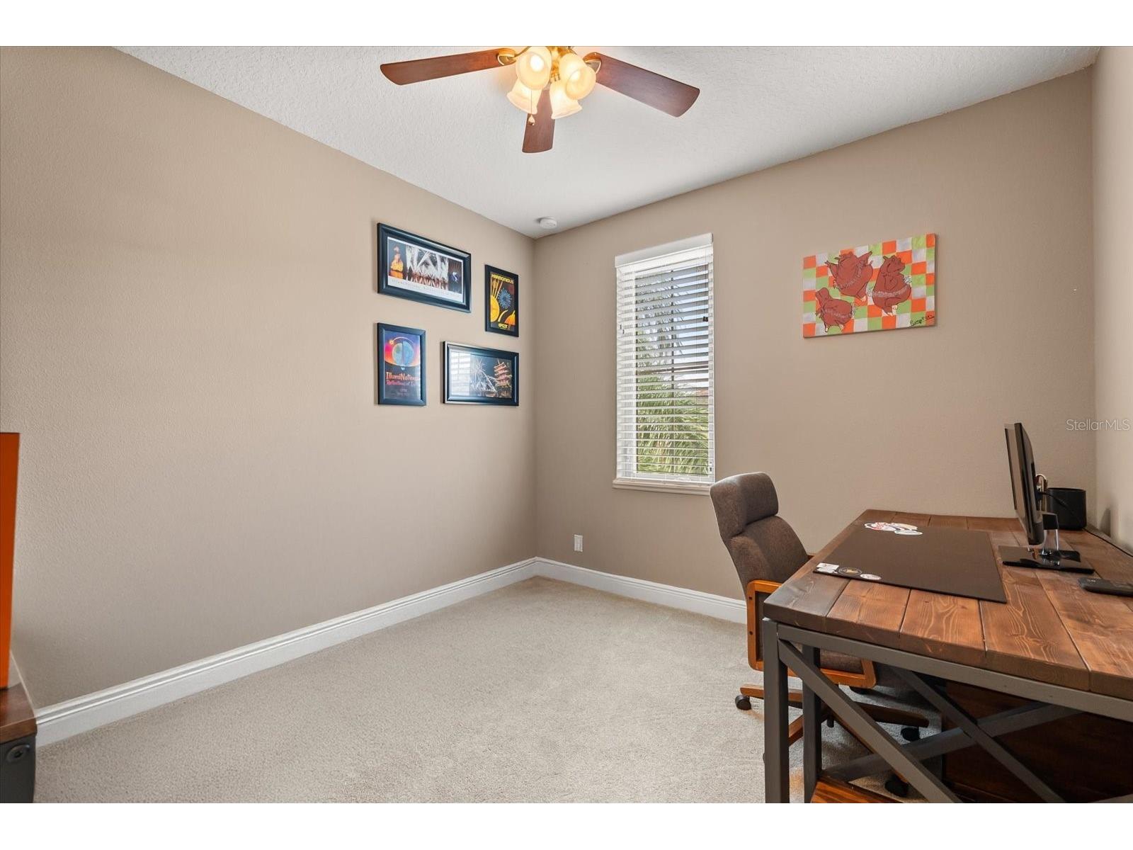 8915 Fountain Palm Alley Winter Garden FL 34787 O6340597 image21