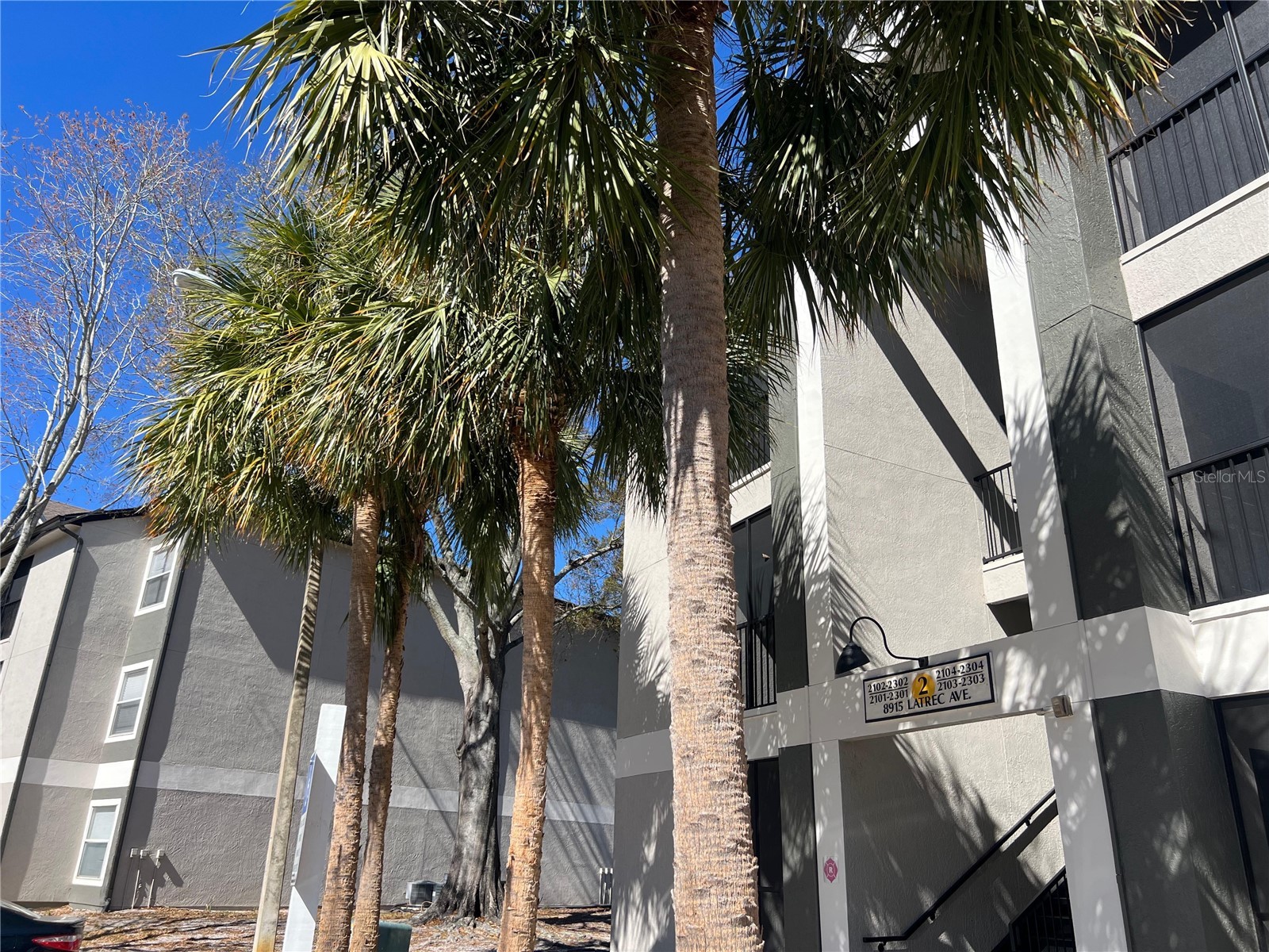 8915 Latrec Ave #2201 Orlando FL 32819 O6380532 image1