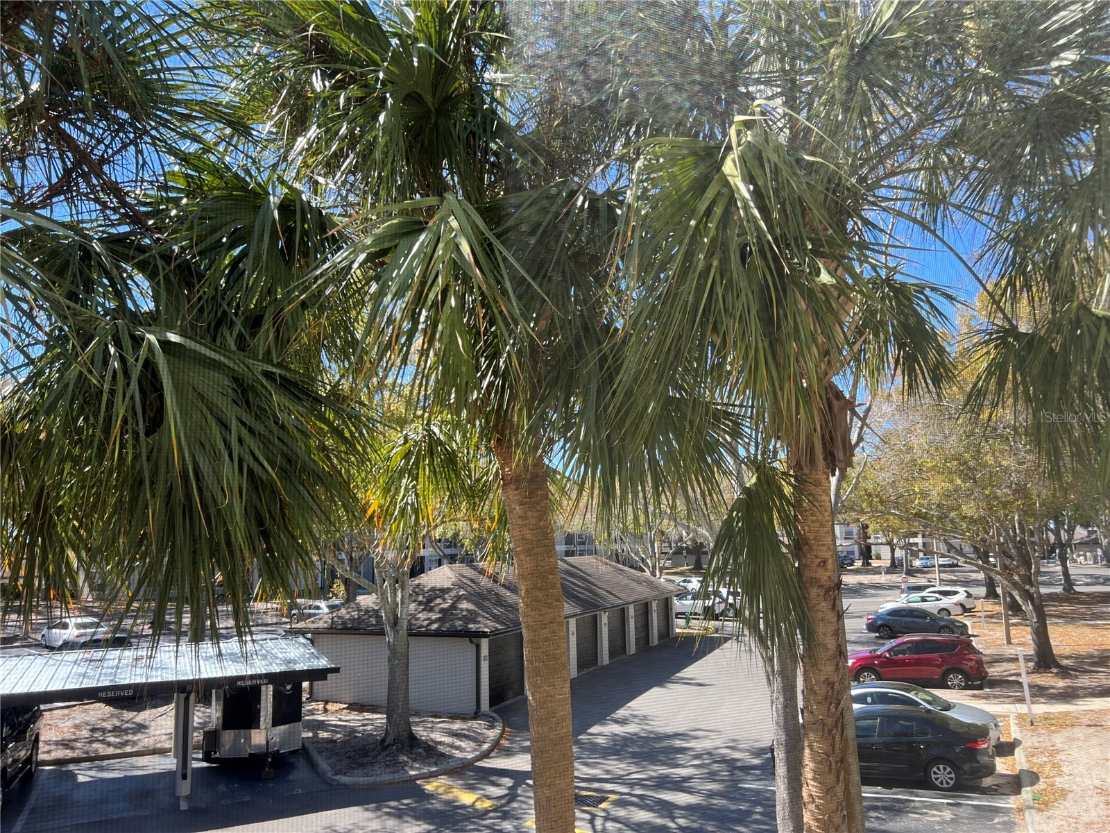 8915 Latrec Ave #2201 Orlando FL 32819 O6380532 image16