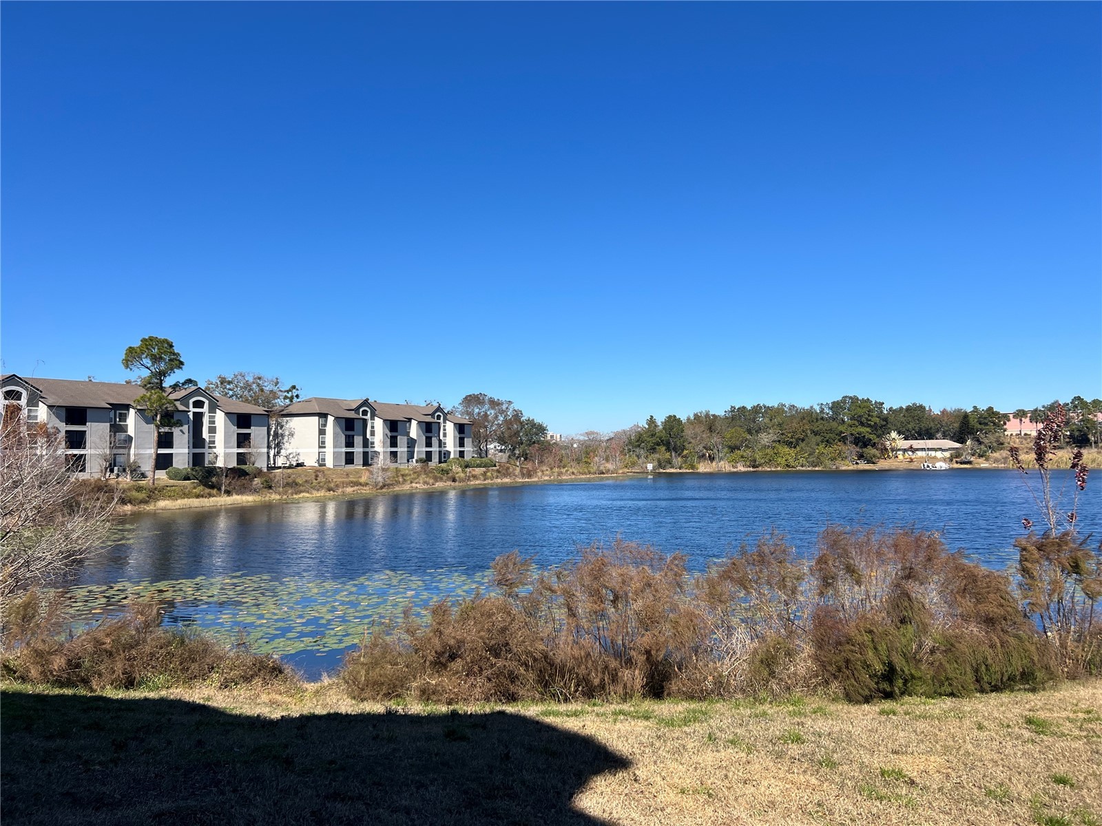 8915 Latrec Ave #2201 Orlando FL 32819 O6380532 image17