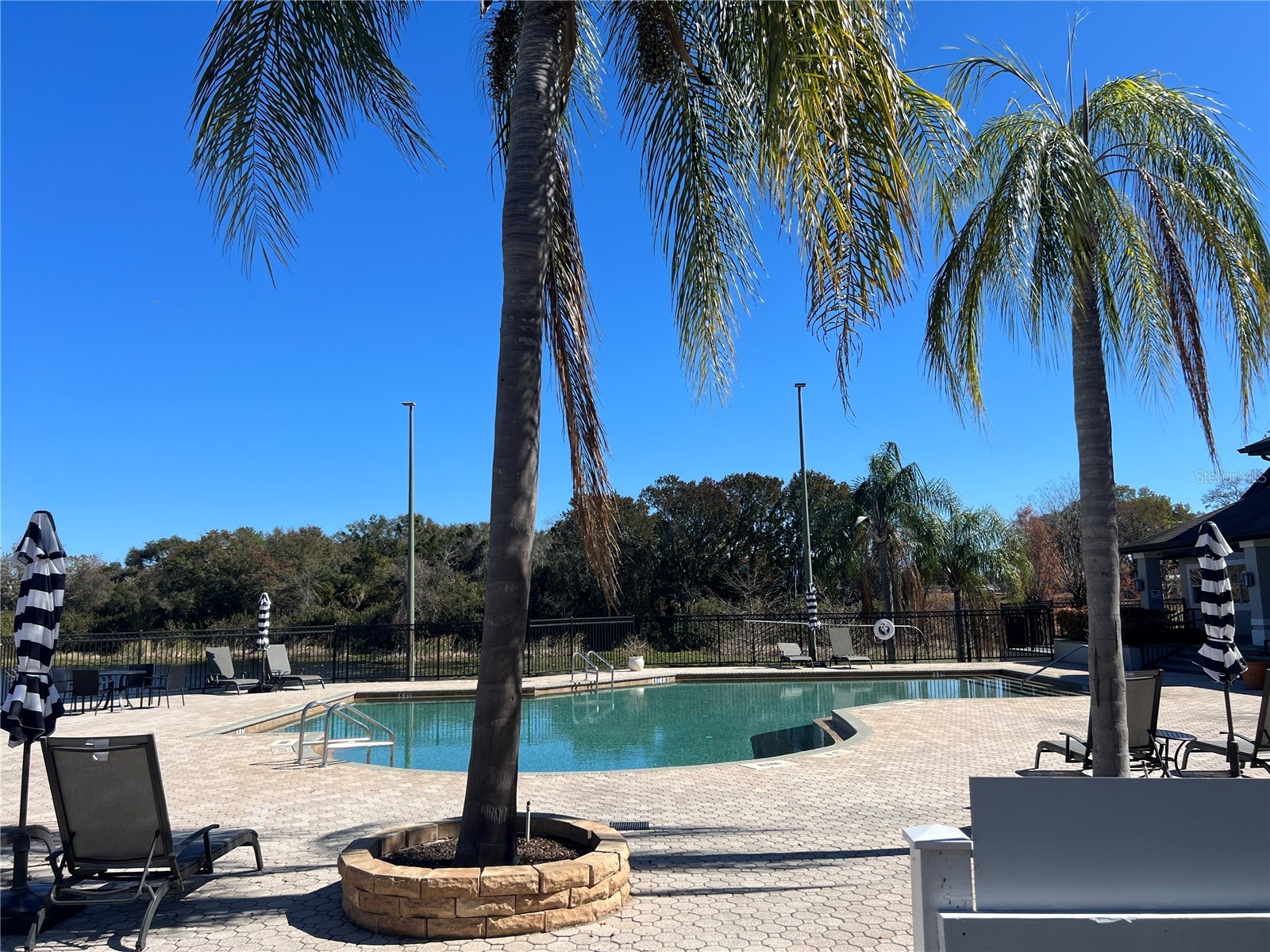 8915 Latrec Ave #2201 Orlando FL 32819 O6380532 image18