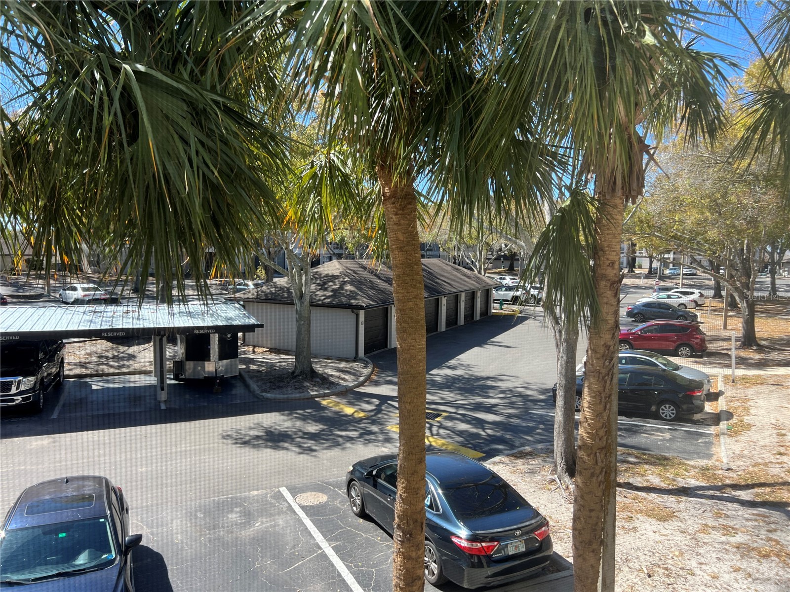 8915 Latrec Ave #2201 Orlando FL 32819 O6380532 image24