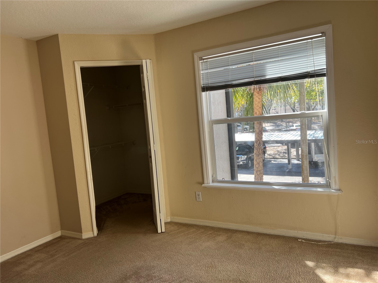 8915 Latrec Ave #2201 Orlando FL 32819 O6380532 image8
