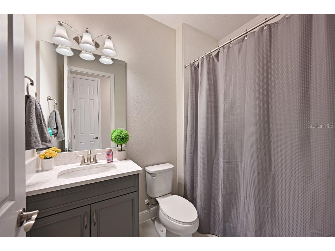 8916 Isabella Circle Parrish FL 34219 A4652700 image19