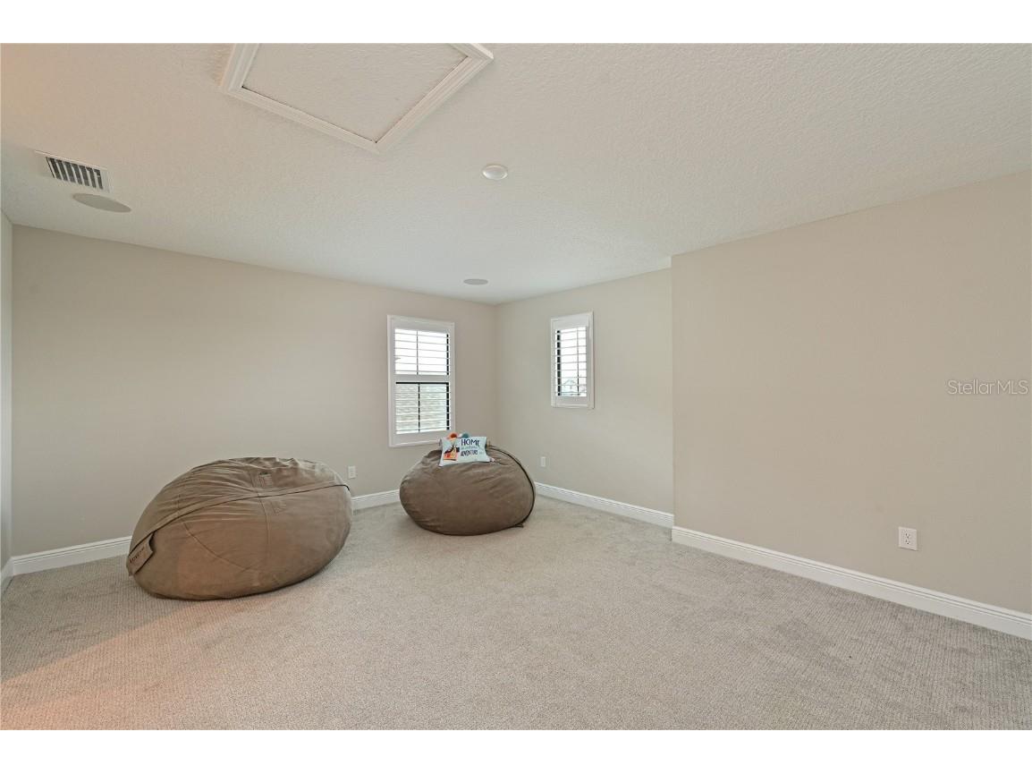 8916 Isabella Circle Parrish FL 34219 A4652700 image23