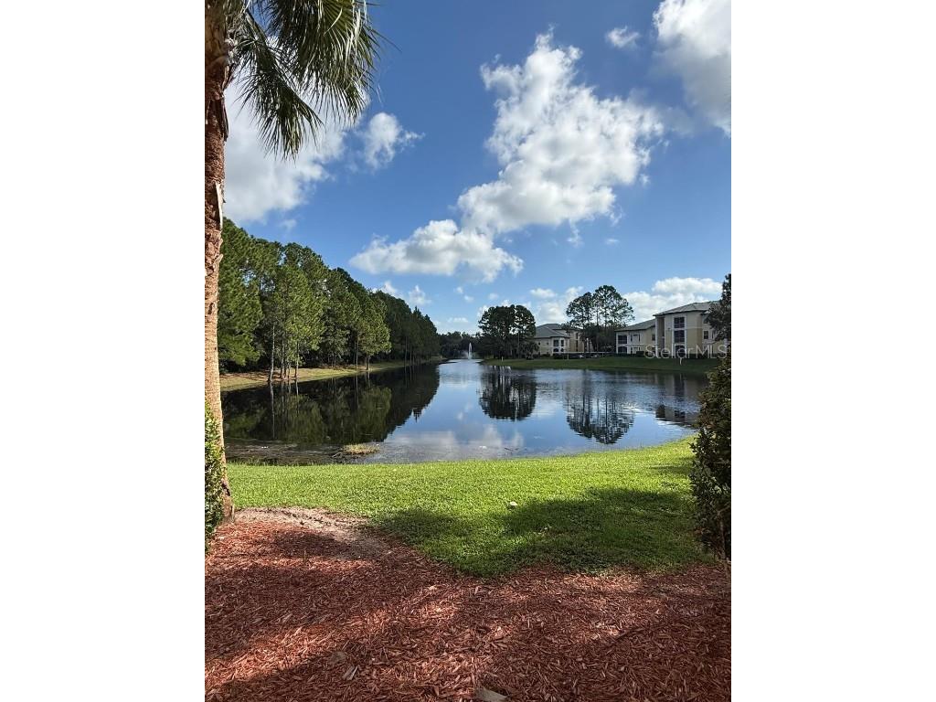 8917 Legacy Court #207 Kissimmee FL 34747 O6348940 image26